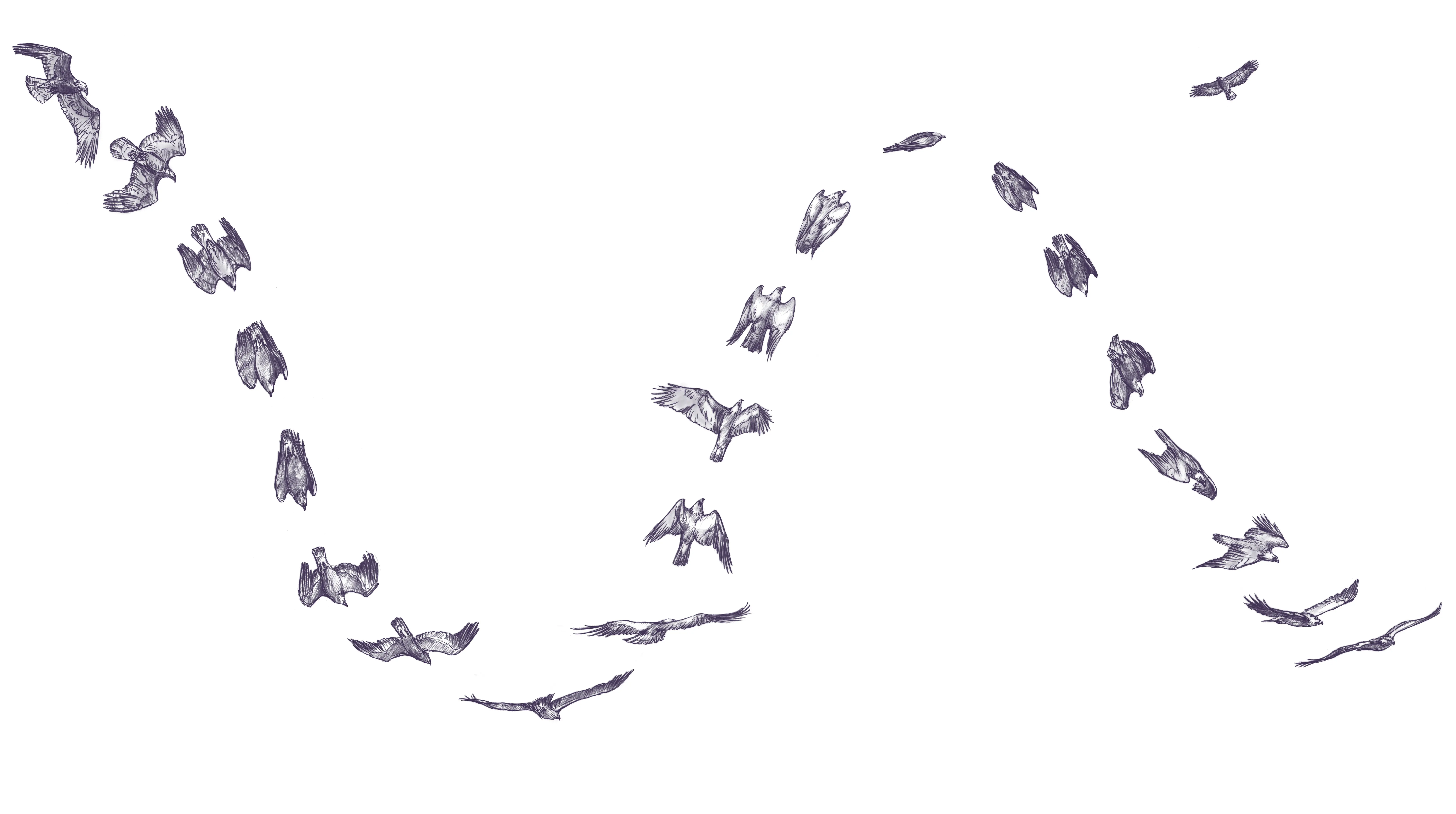 115_Jenny_Steinadler_9783258083612_(c) Lea Gredig_RGB