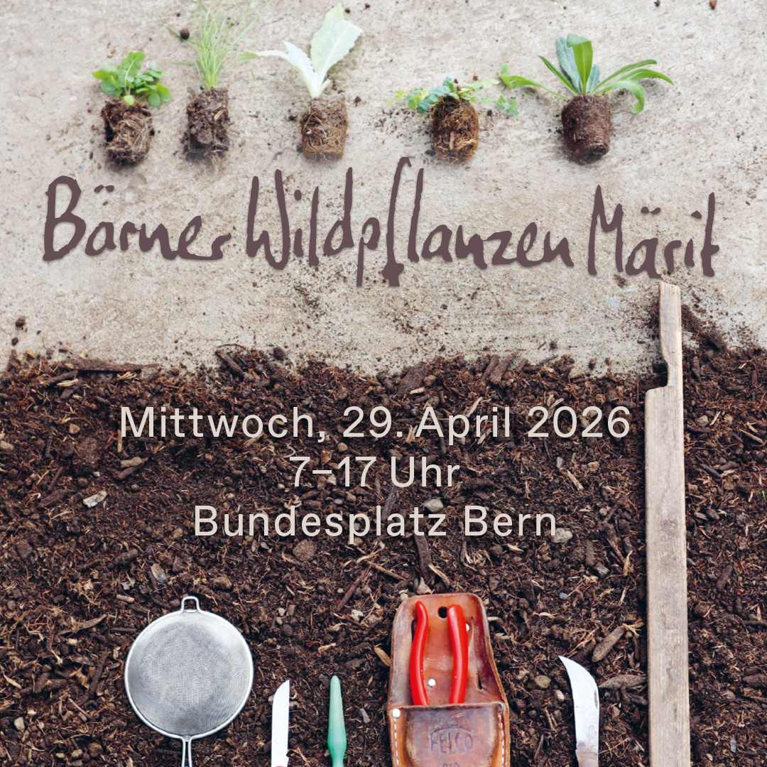 28.04.2026 - Bärner Wildpflanzen Märit