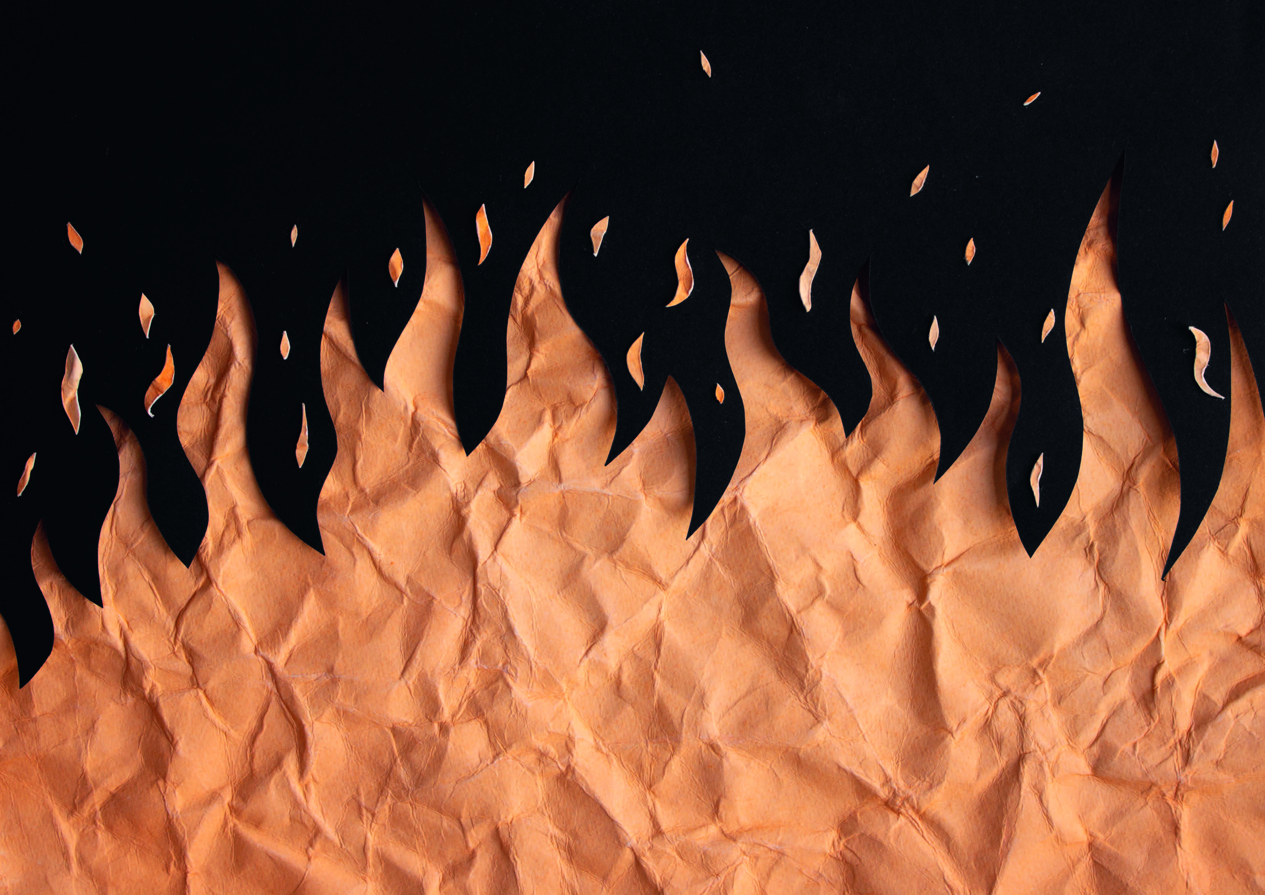 Bilder, die du knicken kannst: HauptAutorin Teelke Limbeck