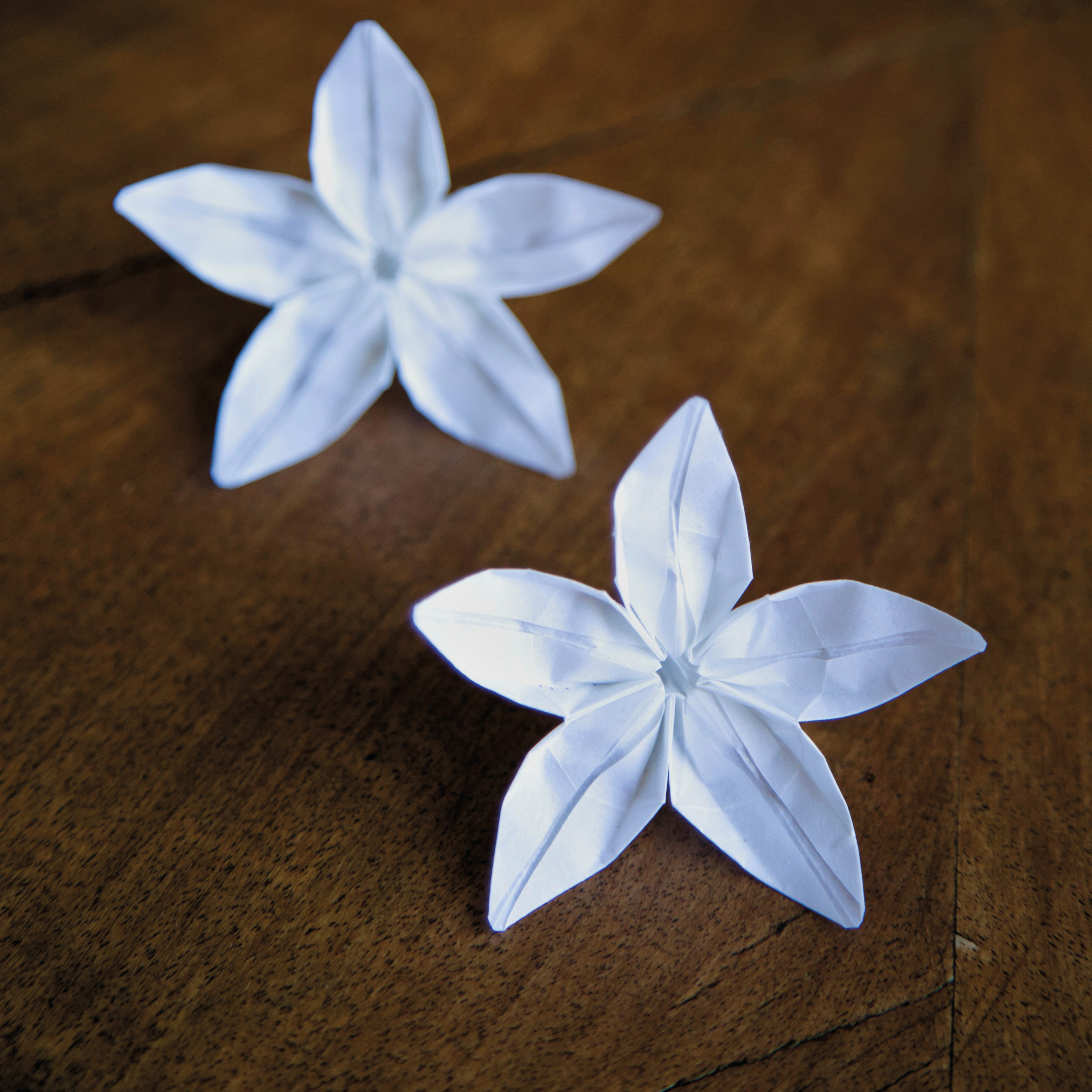 06.03.2026 - Einfach falten