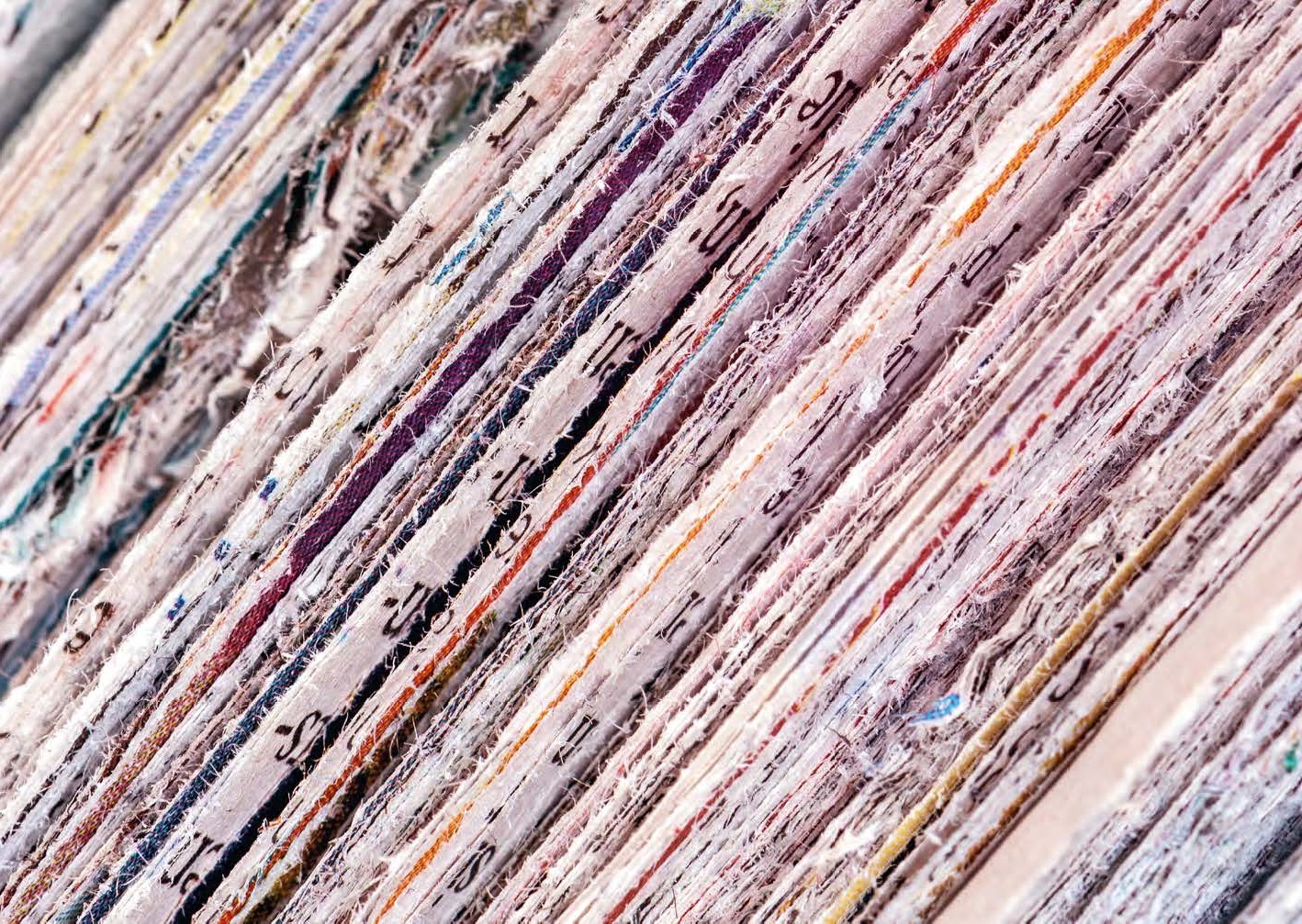 Aktuell in den Medien 