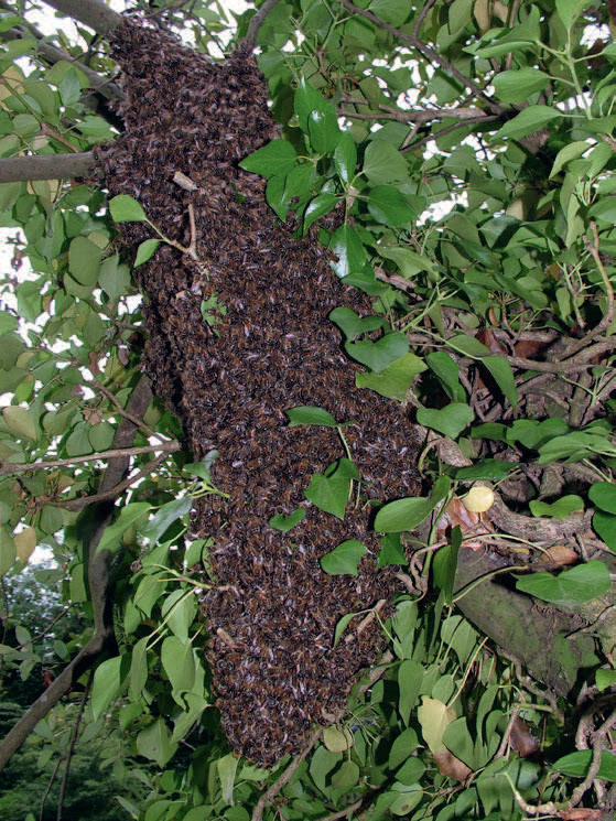 063_Heaf_Warr_(c)David-Heaf_rgb